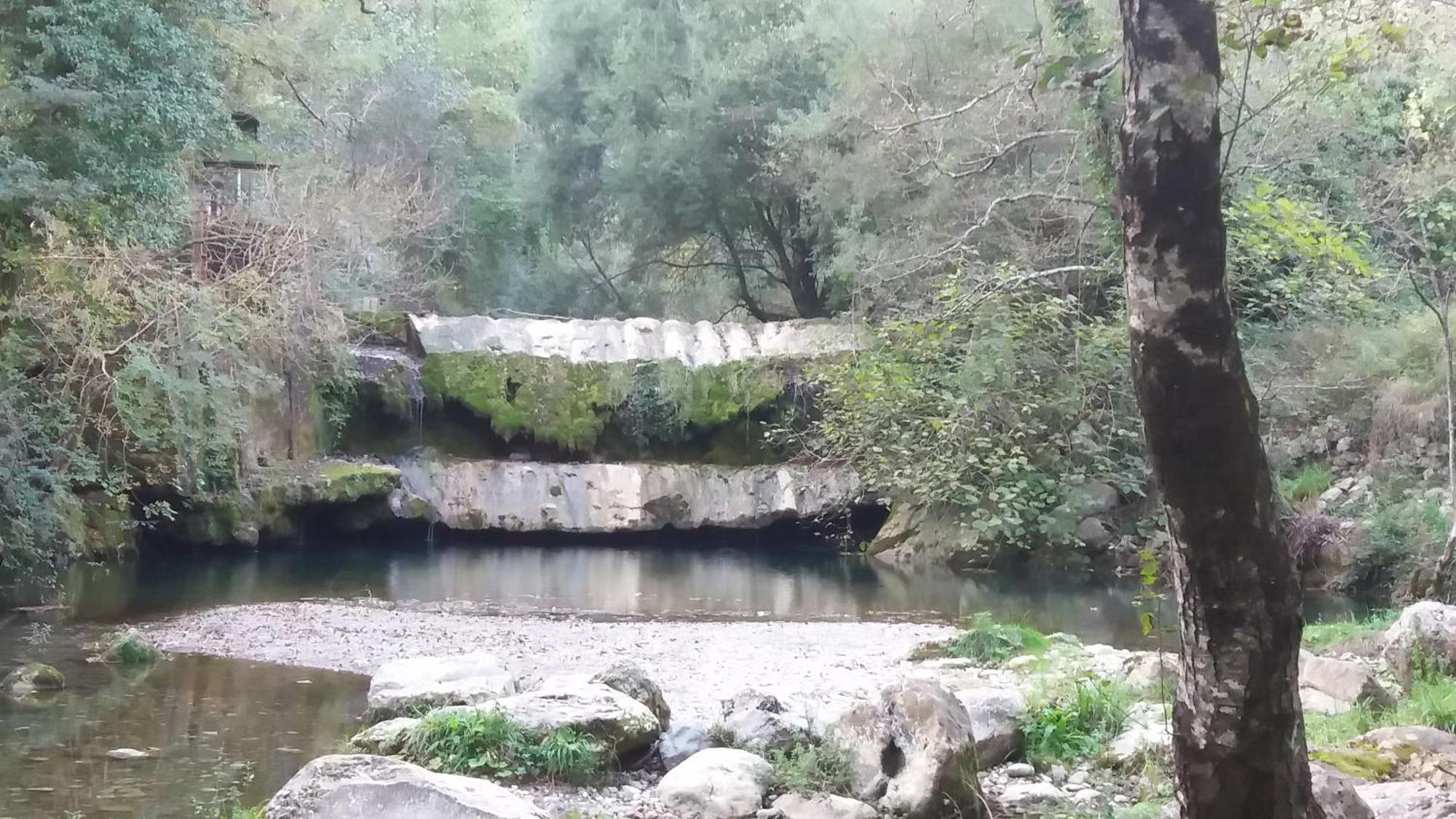 Il Vecchio Gelso * Palinuro