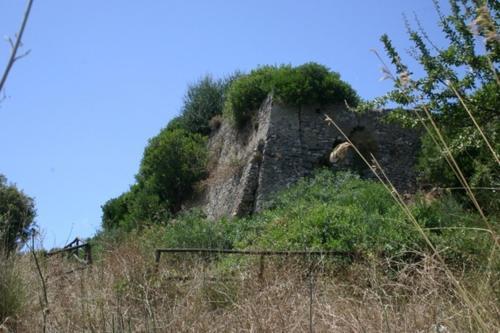 Il Vecchio Gelso Palinuro